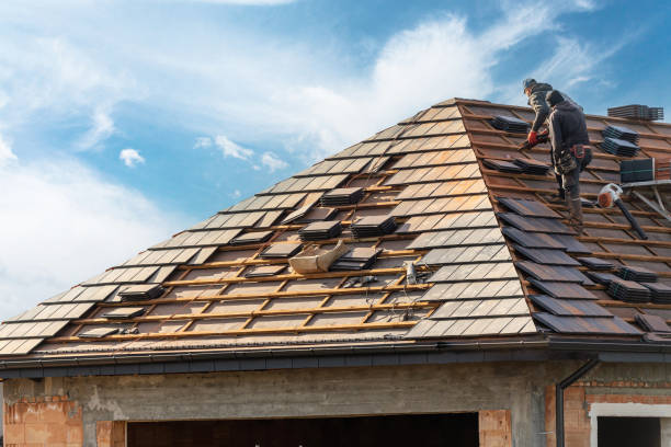 Best Roof Coating and Sealing  in Jackson, TN